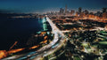 Chicago at Night — From the Rooftop