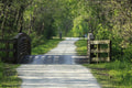 Wapanesse Trail — The Bridge